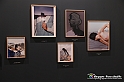 VBS_0765 - Mostra Liquida Photofestival